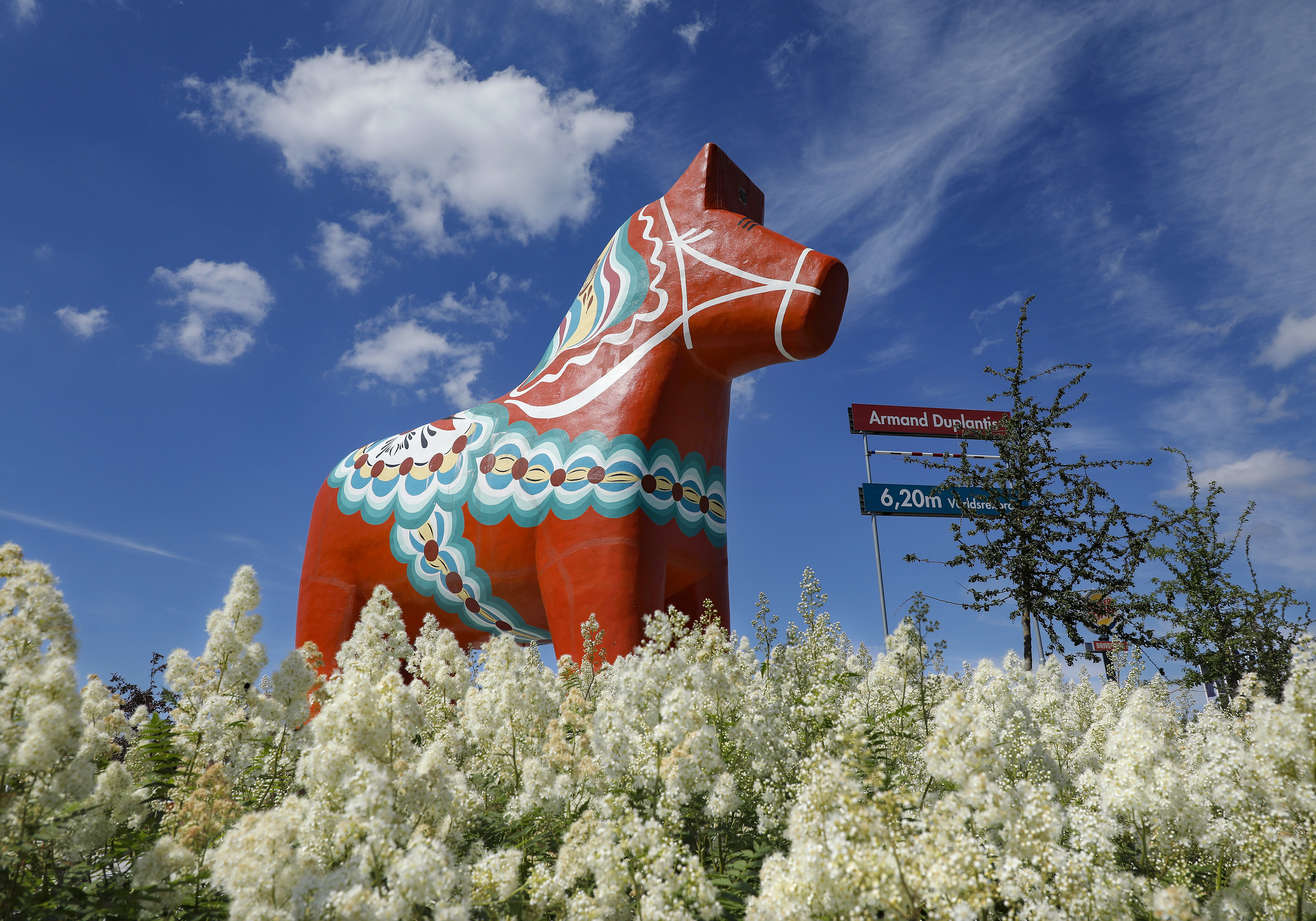 Dalarna_6003